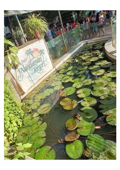 Nandanvani Resort