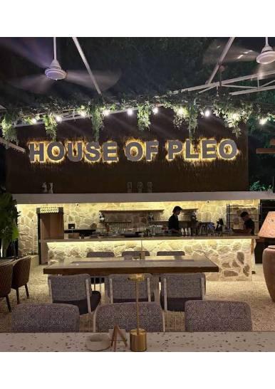 House Of Pleo - View 2