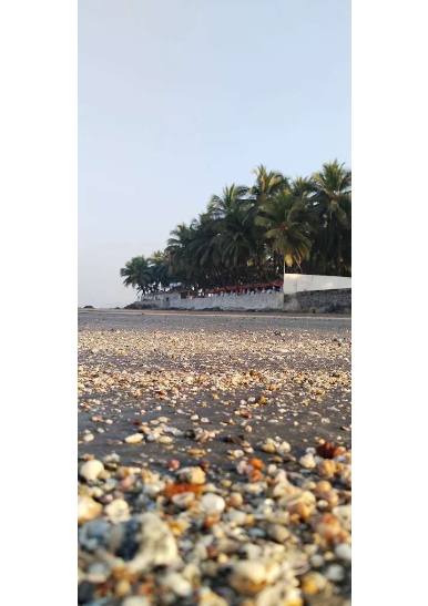 Picxy Sea Resort - view 3