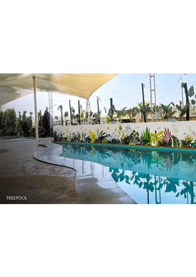 Discover Resort - view 3