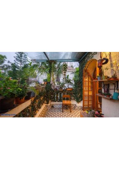 Saffronstays Birdsong - view 4
