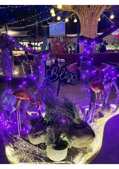 The Bliss Fine Dine - View 1
